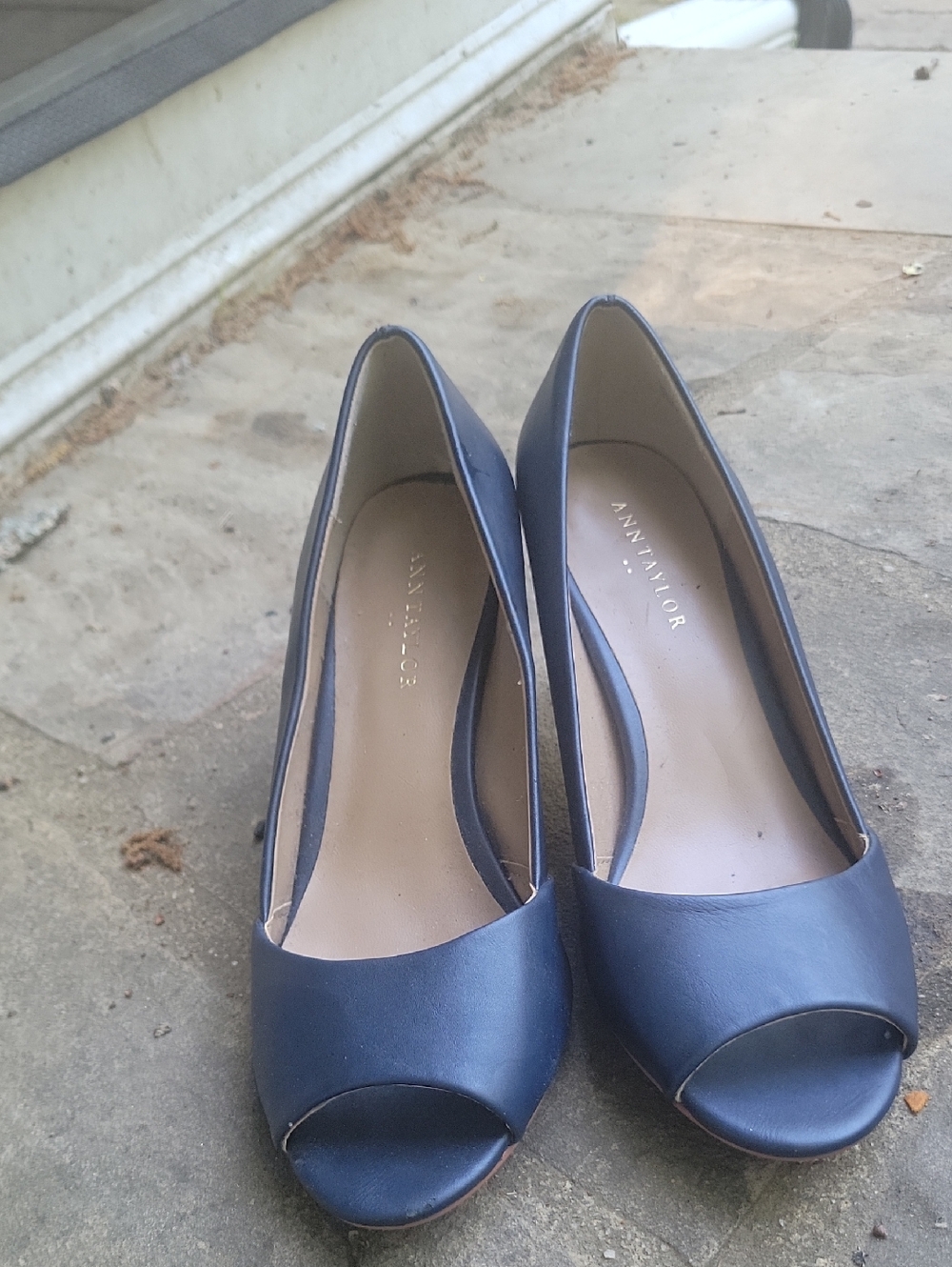 Ann Taylor Navy Open-Toe Pump Heels